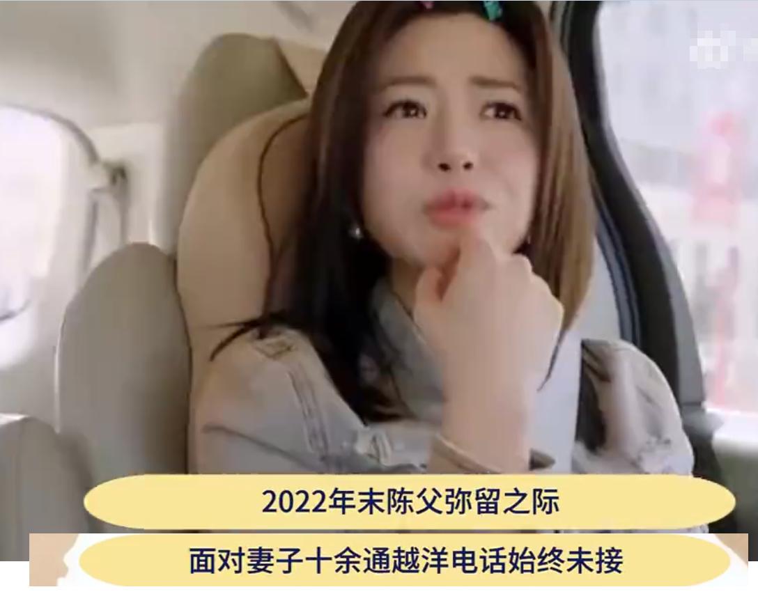 从如胶似漆到形同陌路：陈晓陈妍希离婚之谜，陈晓陈妍希离婚：是变心还是另有隐情？