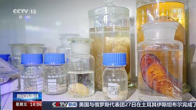 探秘即将开建的冷泉生态系统研究装置，广州南沙开建世界首个2000米级深海实验室