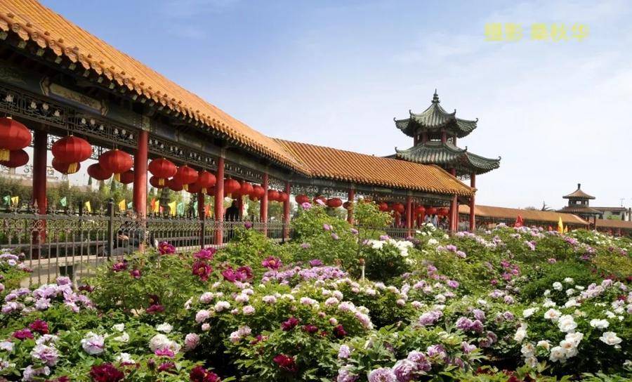 探秘曹州百花园：牡丹文旅新篇与招商展望，曹州百花园：打造牡丹文旅生态圈，迎接流量经济
