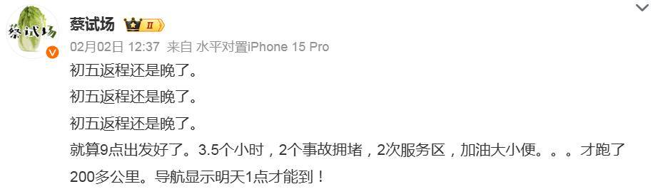 返程高峰下的高速路况：动不了的车流长龙，春节假期最后一天：返程路的艰难险阻