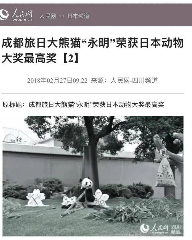 沉痛悼念：大熊猫“永明”于2025年1月25日永远离去