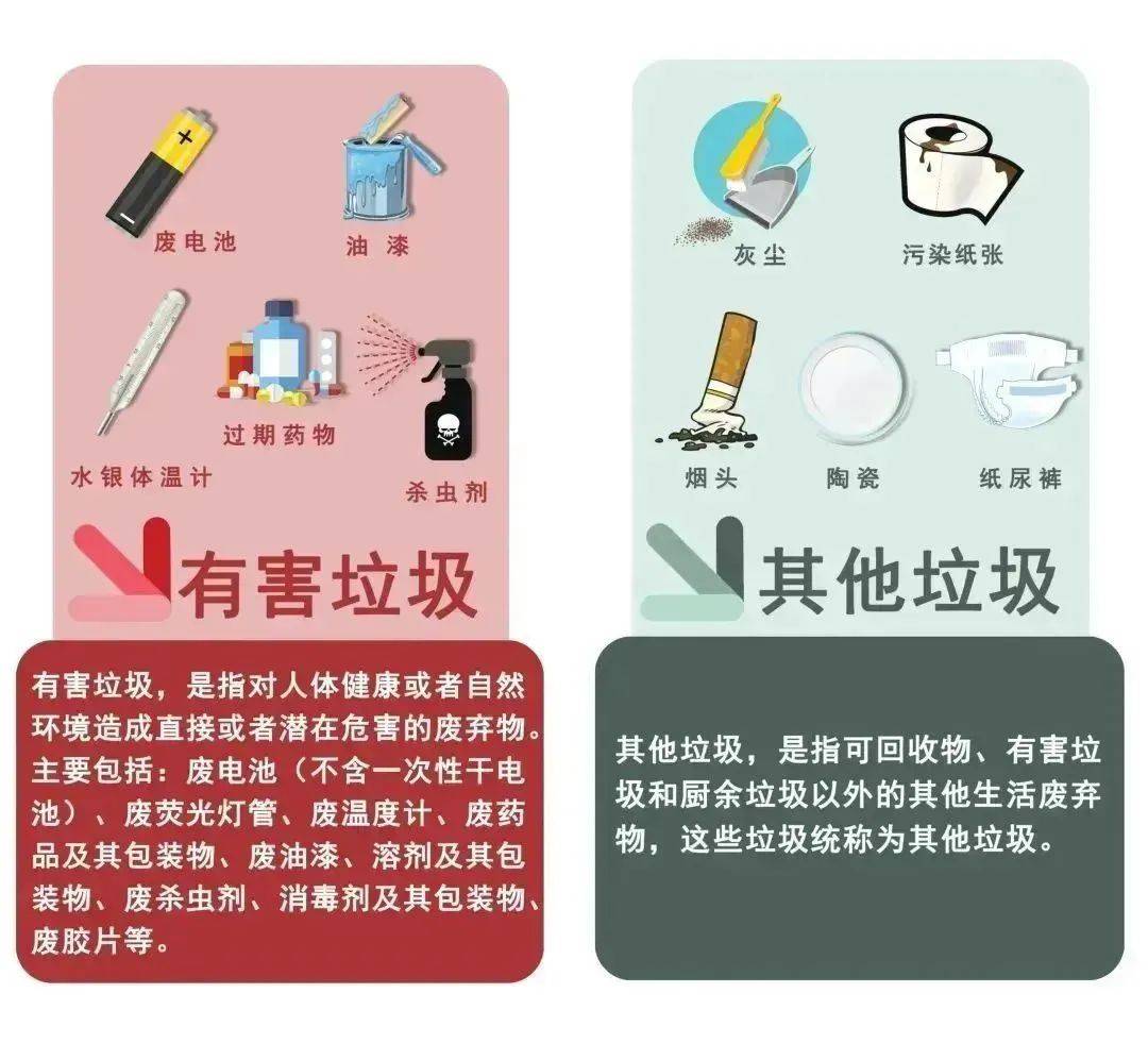深入了解垃圾分类：类别、流程与意义 垃圾分类全知道：从分类到意义