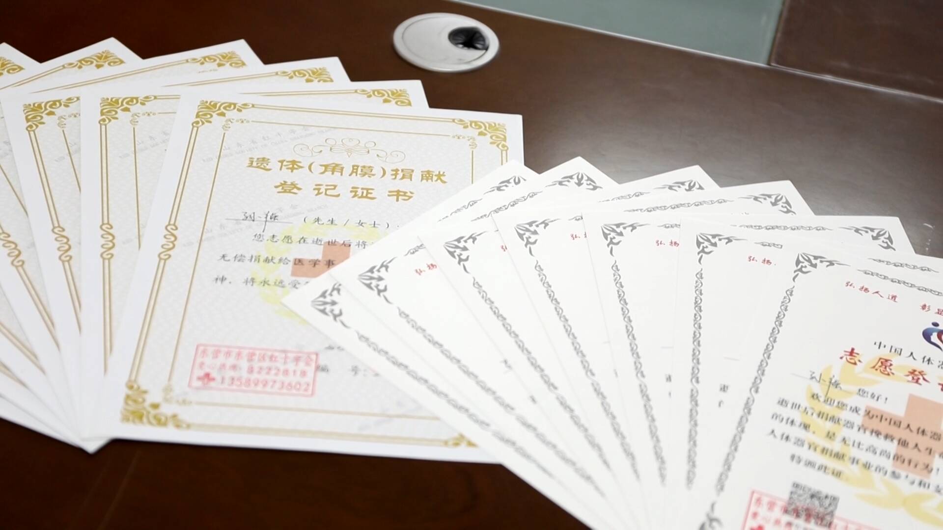 东营区：7名队员的捐献壮举，照亮生命之光 东营区7名队员登记捐献，延续生命的善举