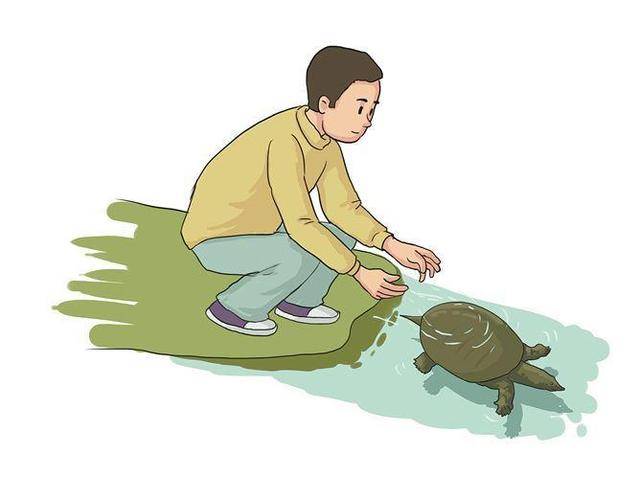 生鲜外卖购甲鱼放生？专家警告：或破坏生态