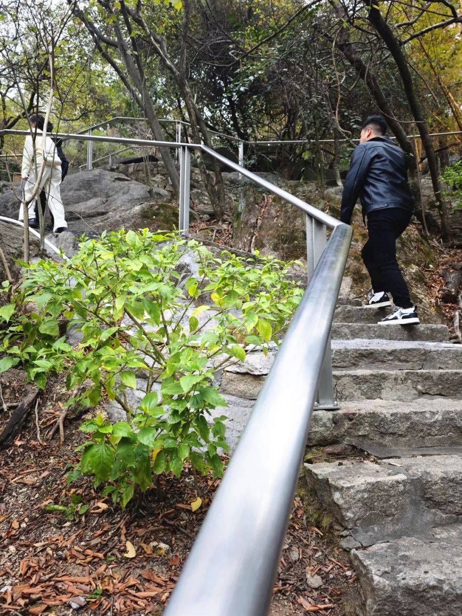南普陀寺后山重开，五老峰之旅再启，南普陀寺后山开放：登五老峰，赏厦门老八景