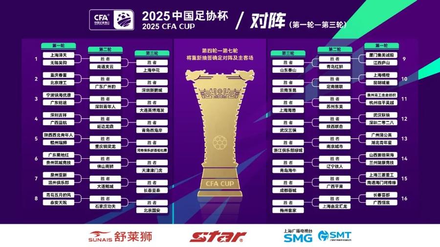 2025足协杯抽签：对阵形势全解析，2025足协杯：哪些对决值得期待？