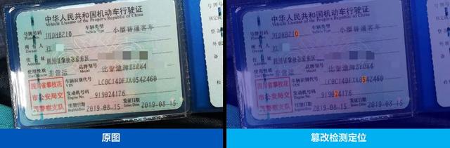 AI照“骗”泛滥，“护证计划”出击