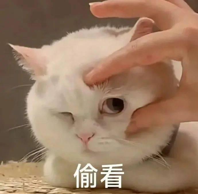 2月观影全知道：大片和荔湾的电影院，2月电影档：精彩影片与荔湾电影院全览