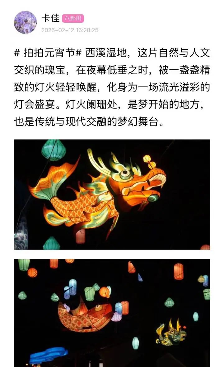元宵节：西溪湿地赏灯人潮涌动，正月十五元宵节：西溪湿地赏灯盛景