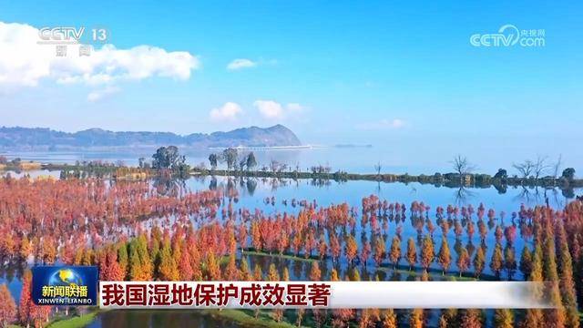 世界湿地日：我国湿地保护、修复与生态发展多面观
