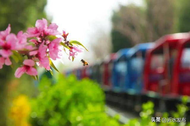 探寻春日的地下奥秘：萤火虫水洞·地下大峡谷之旅