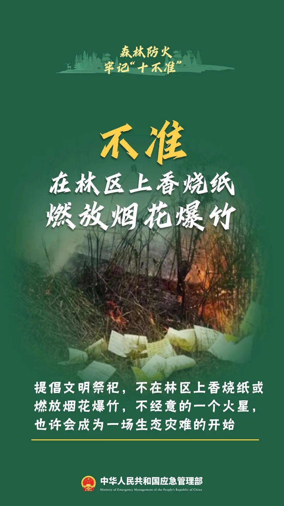 寒假烟花虽美，背后风险不容忽视！ 燃放烟花有风险，寒假期间需谨慎！
