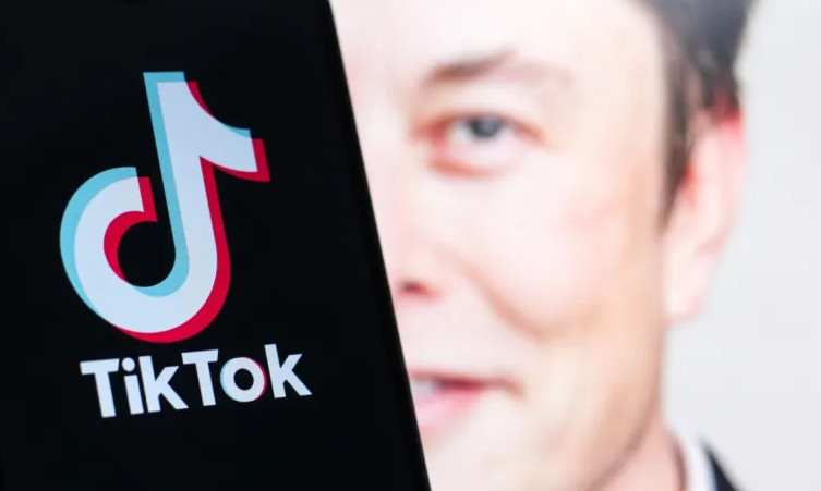 马斯克：TikTok不在收购计划内