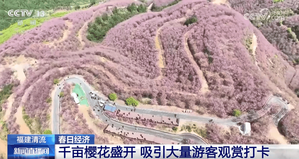 小城之旅：那些被青睐的旅游地