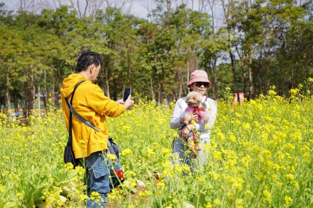 清远春日：花盛期，快来定格美好，2025清远之春：繁花盛景等你打卡
