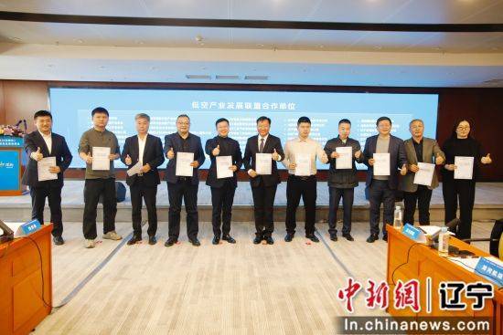浑南区低空经济：潜力无限，合作共赢 低空经济发展：汇聚智慧，共创未来