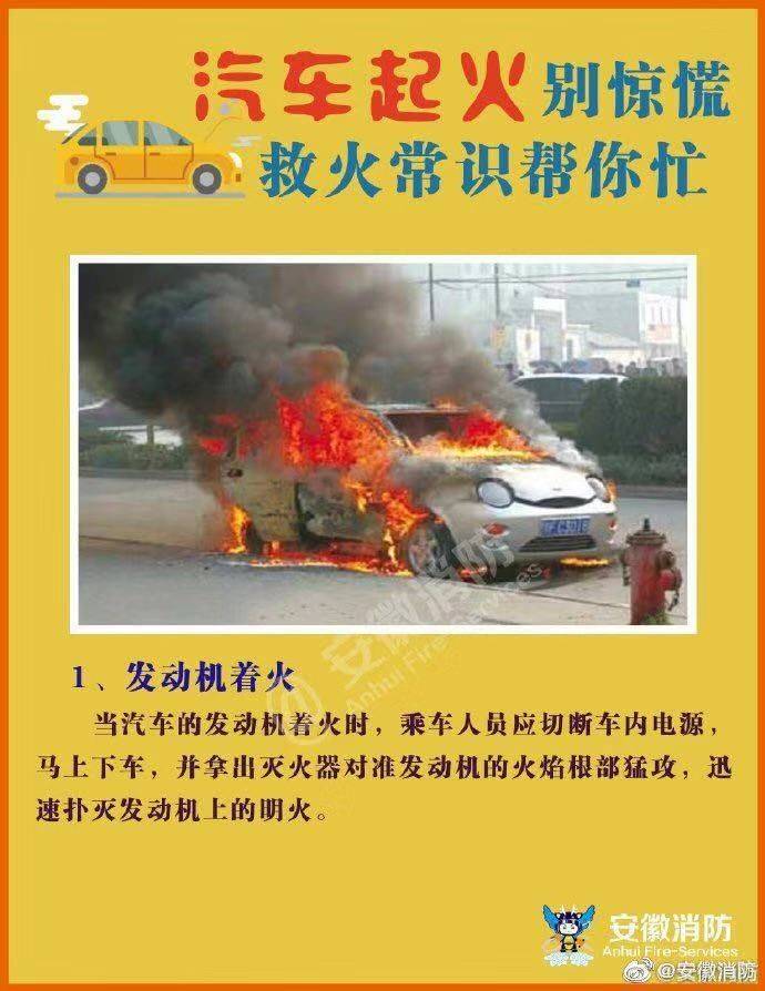 沈海高速小车着火，消防成功处置 惊！沈海高速路段车辆起火，所幸无人员伤亡