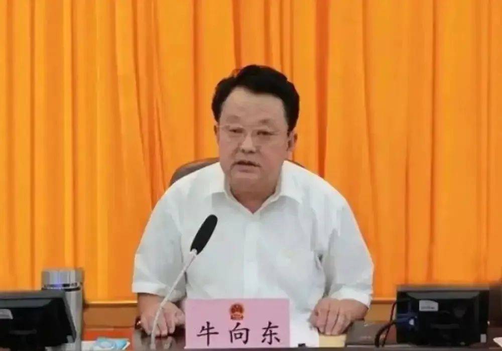 丹东原副主任牛向东受贿案：从被查到逮捕的历程，牛向东：从官场到审查起诉，受贿案背后的故事