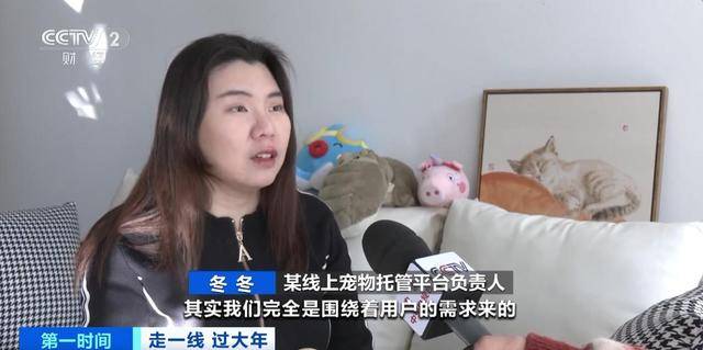 宠物托管师：新兴职业的崛起与发展，宠托师：忙碌背后的信任与责任