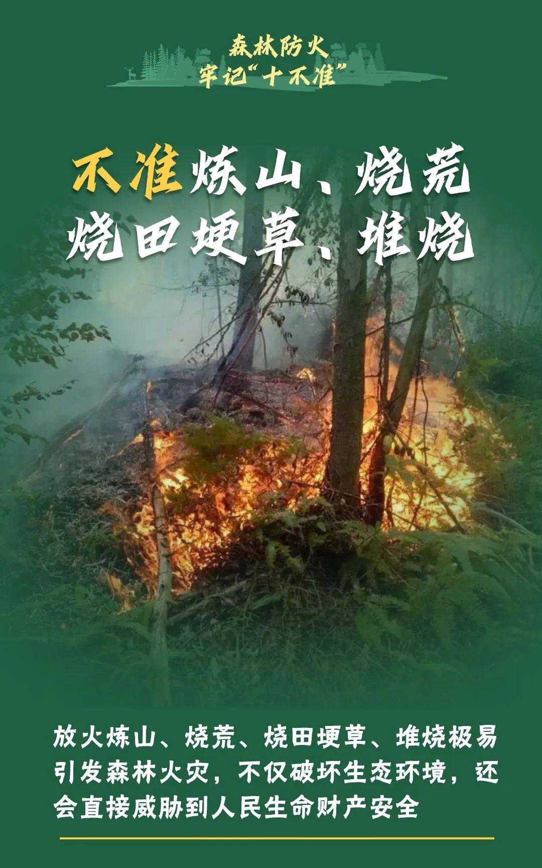 烟花爆竹背后的家长责任：西昌火灾案例警示 孩子放烟花，家长要“买单”？