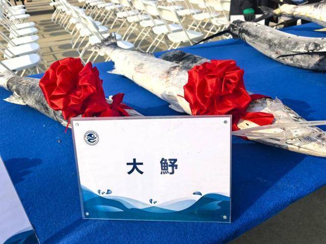 “蓝海101”号调查船航次结束：揭开中西印度洋渔业神秘面纱