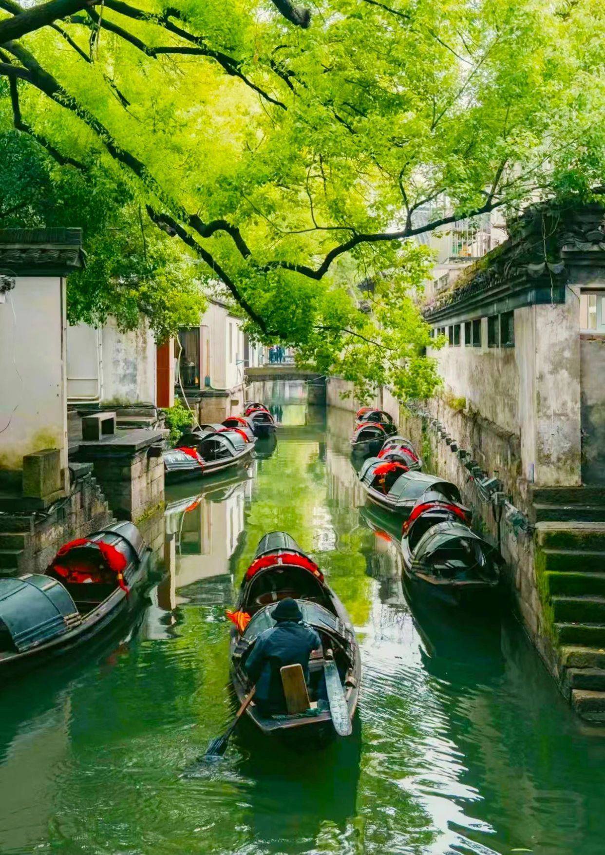 游绍兴：领略江南的诗画风情