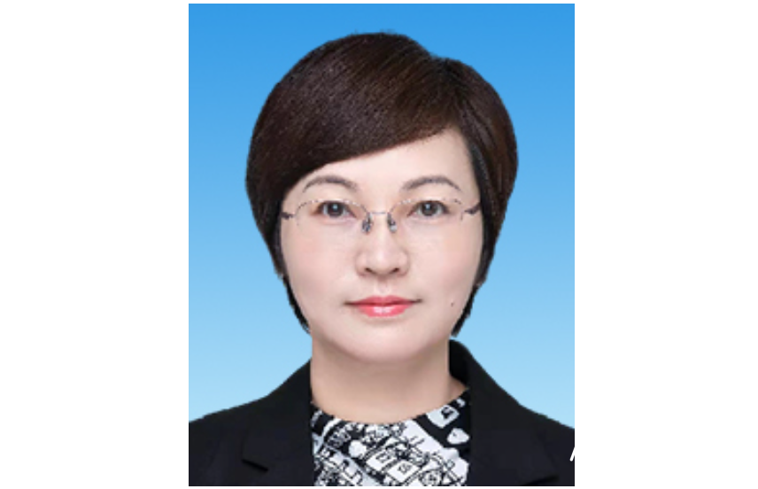 广东省妇联主席选举结果出炉，谭萍当选，新当选广东省妇联主席谭萍：一路走来的历程