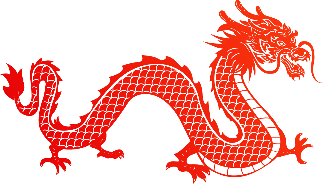 大沙村舞龙：年轻一代传承百年文化瑰宝