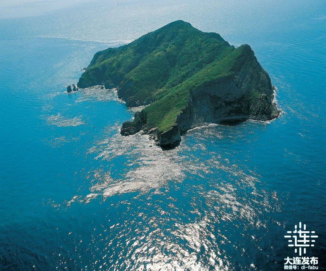 旅顺口：从自然奇观到发展蓝图，探秘旅顺口：生态、人文与发展