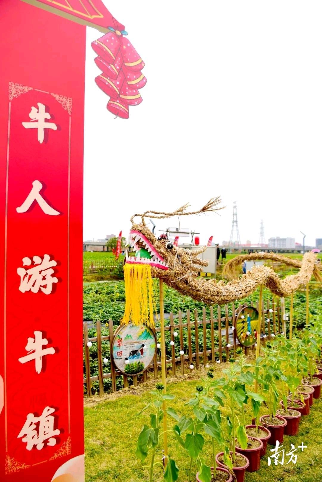 2025横沥葵香园活动：融合美景与文化的精彩之旅 走进横沥葵香园：2025的文旅盛宴与自然之美
