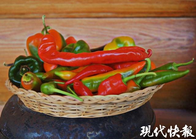 江苏辣椒的独特魅力：从起源到餐桌，探秘江苏辣椒：品种、特色与农科院的贡献