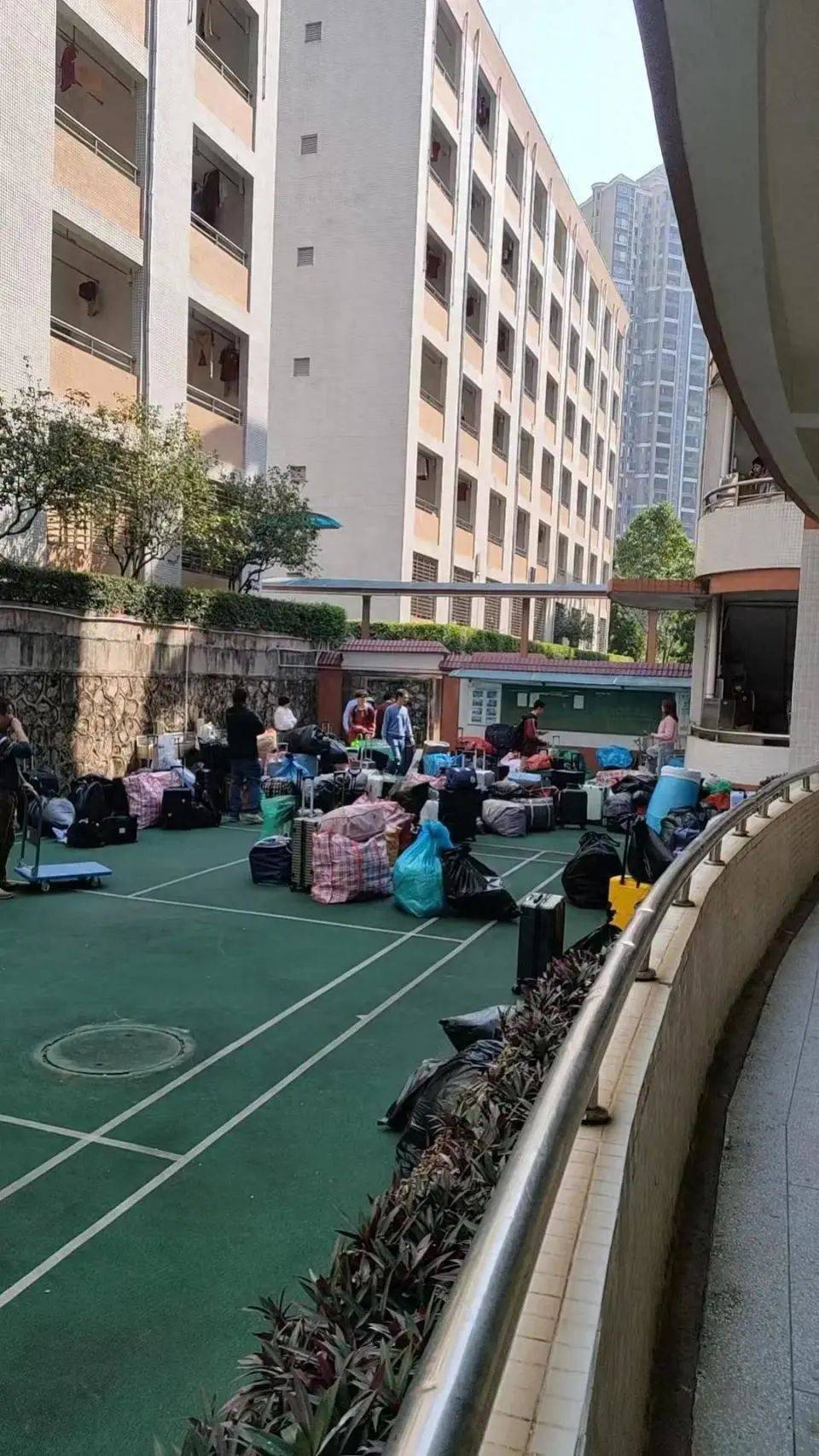 直击东莞外国语学校跳蚤危机，消杀之路在何方？