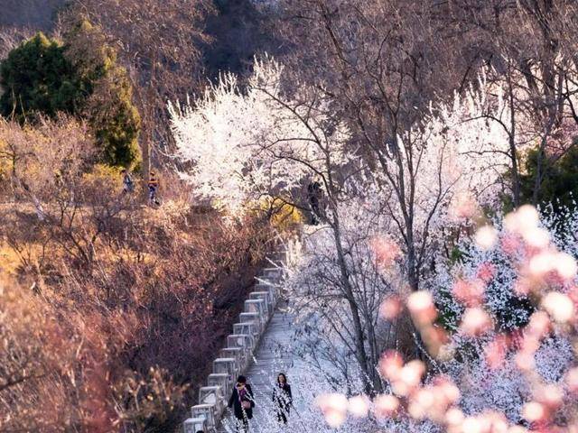 清明公交优化，出行祭扫更便利 通州新幼儿园开工，开启学前教育新篇章