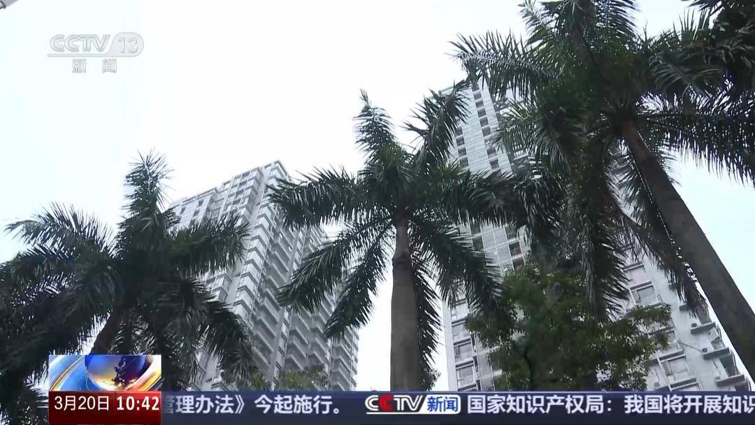 公积金贷款利率或下调，多地优化政策刺激住房市场，深圳等多地住房公积金调整，提振住房消费信心