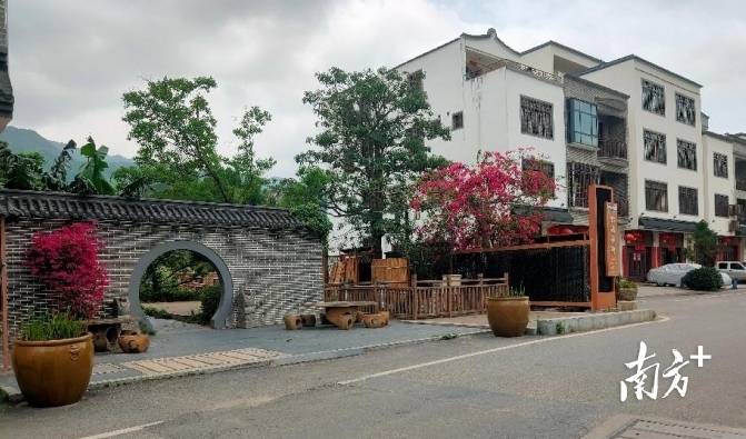 信宜钱排镇：“美丽庭院”盘活资源，带动村民家门口就业，信宜双合村：以美丽庭院之姿，开启乡村增收新篇