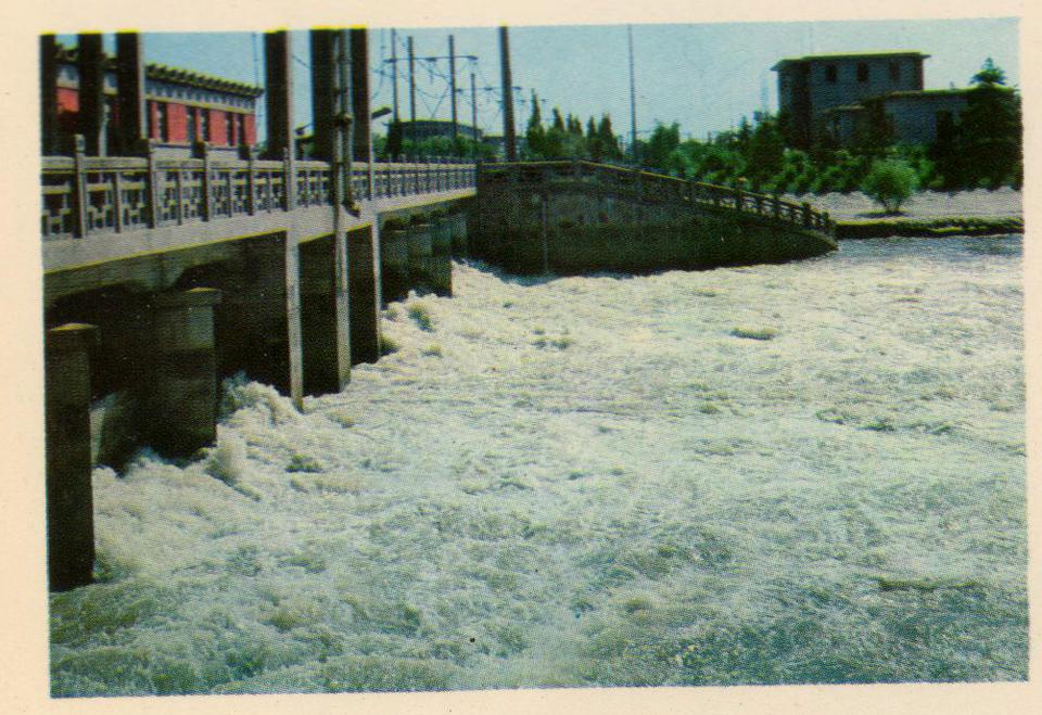 征集南水北调史料，邀您一起留存城市记忆，南水北调史料征集再获成果，市民热情助力