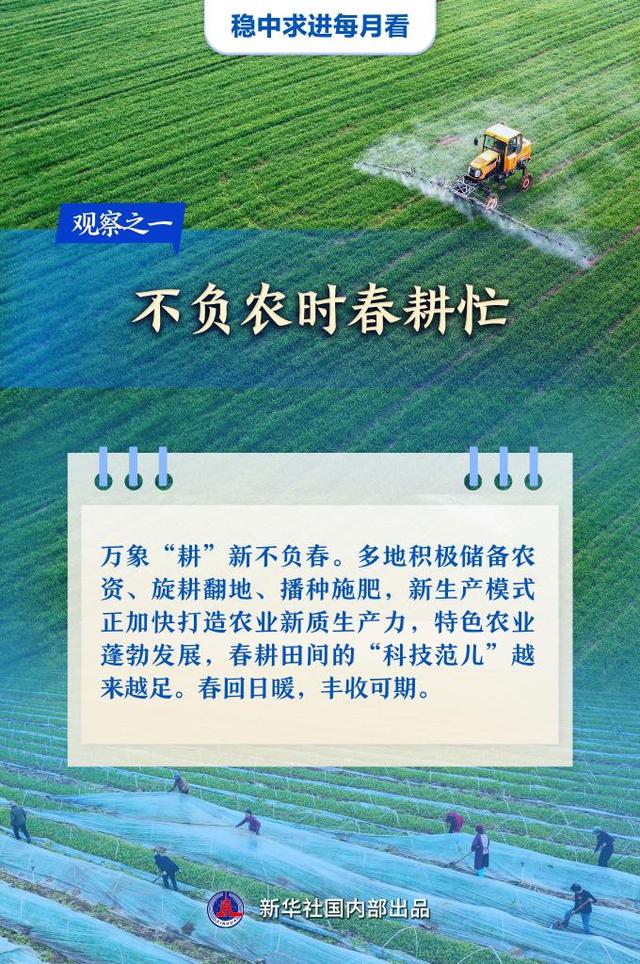 3月：春耕、消费、民企、项目共绘发展新画卷，春潮涌动，3月各地经济社会发展亮点纷呈