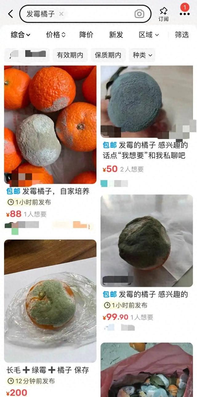 二手平台热卖发霉橘子，潜在风险你知道吗？