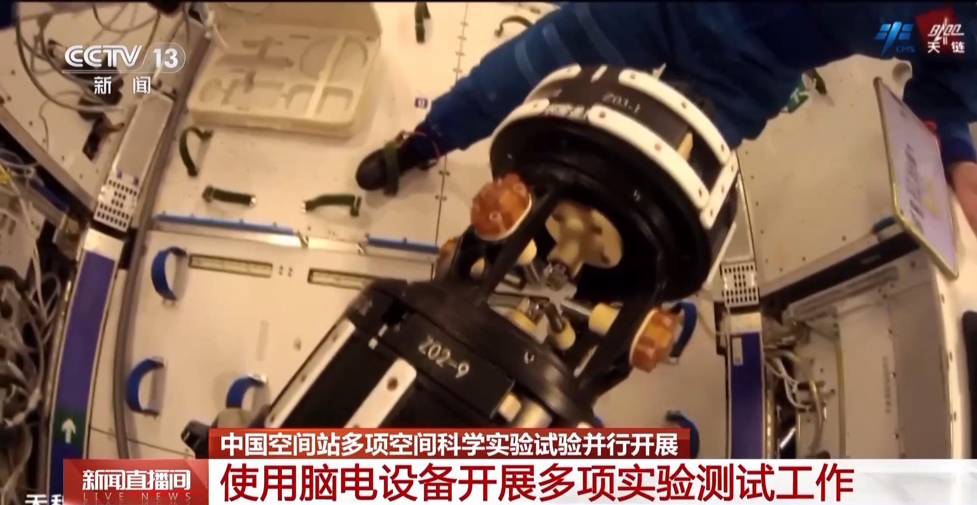 神舟十九号航天员：太空工作四月余，多项实验进行时 神十九乘组太空之旅：多领域实验与日常工作并行