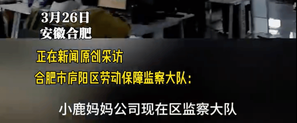 小鹿妈妈公司严苛规定引公众热议，员工权益谁来保障？