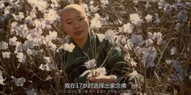 青灯古佛下的素食盛宴：59 岁尼姑的精神追求