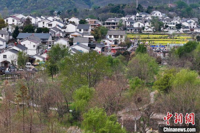 航拍揭秘！南京 600 年老村的自然之美，穿越 600 年，邂逅南京佘村的田园风光