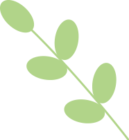 野生毒蘑菇：迷人背后的中毒风险