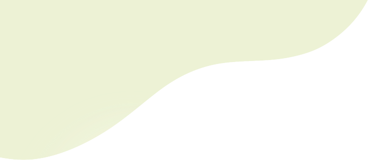 坦洲安阜涌整治：绘就水乡生态经济新画卷 坦洲安阜涌：生态治理与乡村振兴的生动实践