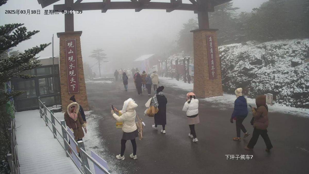 走进轿子山，感受冰雪消融与杜鹃绽放的交替之美，轿子山：冰雪季尾韵，杜鹃季前奏的绝美之境