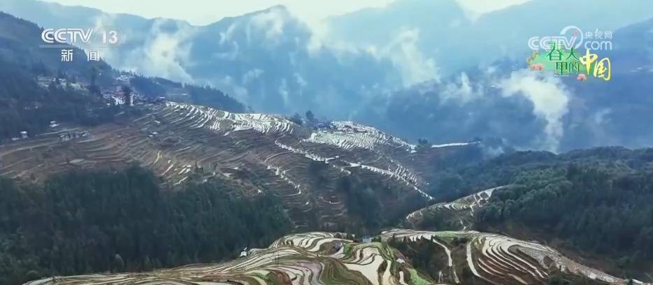 多地春耕春管忙，农业发展谱新章 全国春耕画卷：从山东小麦到百色芒果的丰收期盼