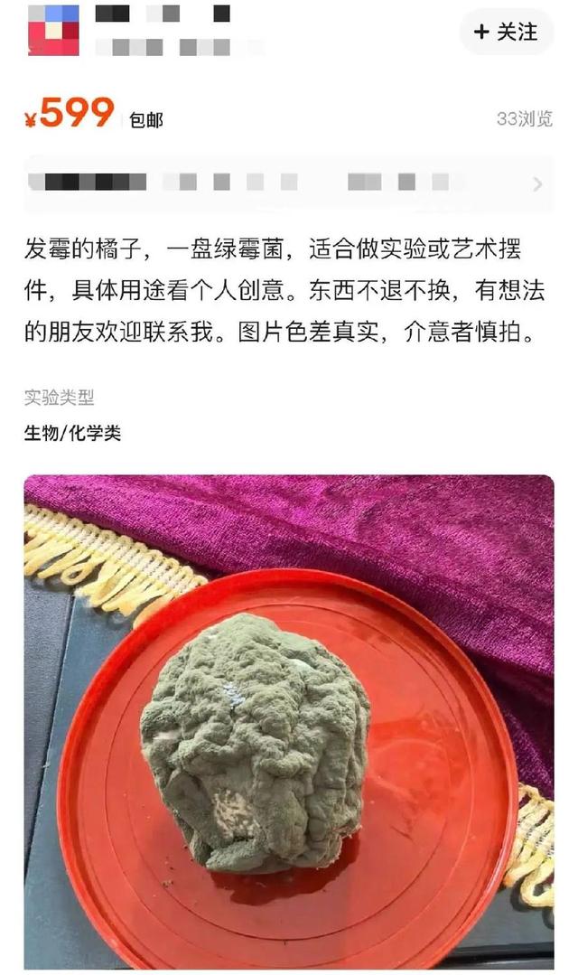 惊！发霉橘子竟成“天价商品”，背后真相大揭秘，从发霉橘子交易看科研与生活的奇妙关联