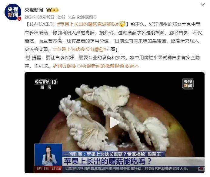 500元一个发霉橘子，二手平台这股“怪风”从何而来？