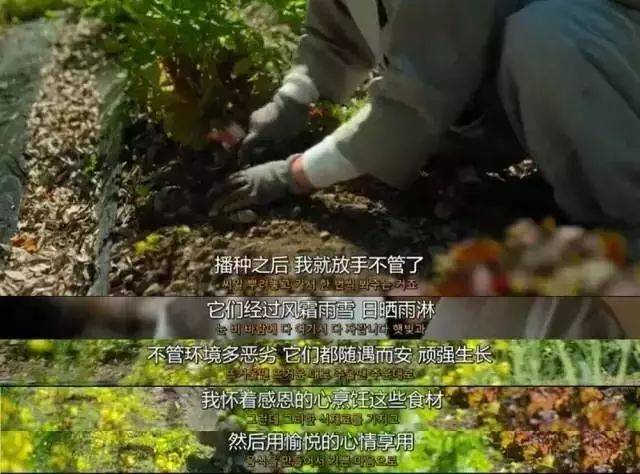 青灯古佛下的素食盛宴：59 岁尼姑的精神追求