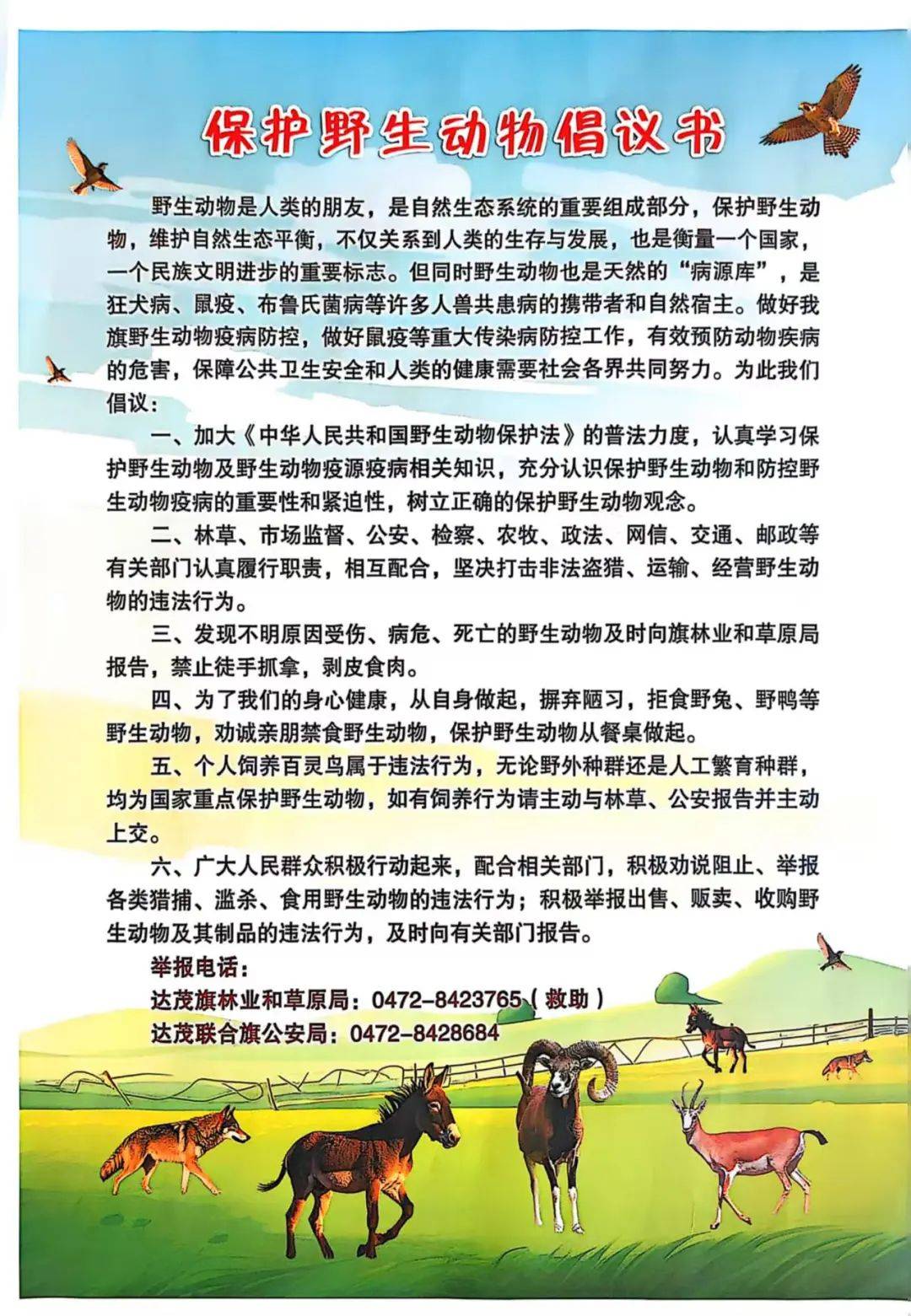 “清风行动2025”：达茂联合旗多部门合力打击野生动植物非法贸易 达茂联合旗多部门携手，“清风行动2025”助力野生动植物保护